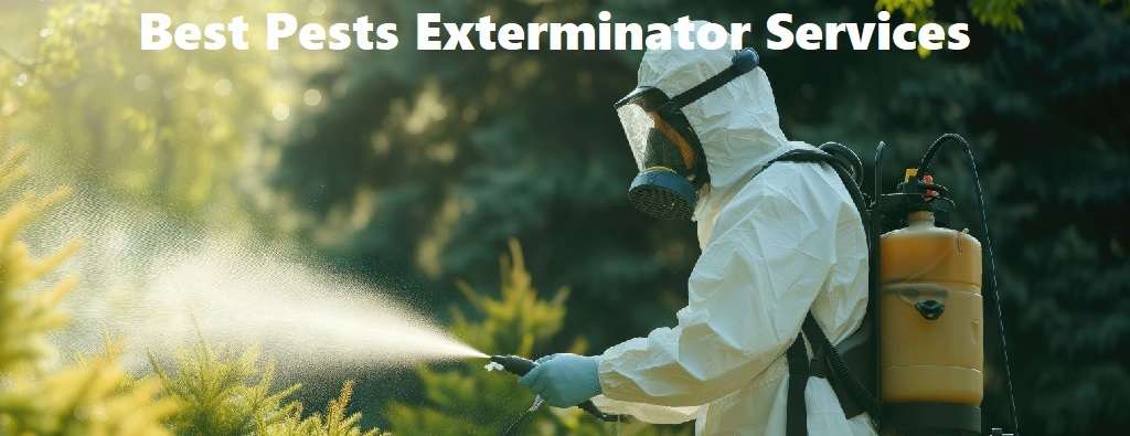 Best pests exterminator services in Vihiga Best pests exterminator services in Vihiga