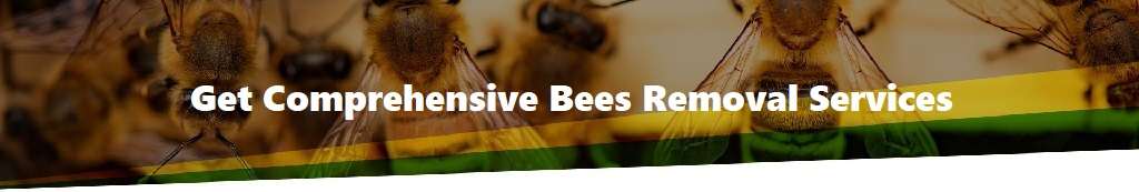 Bees control