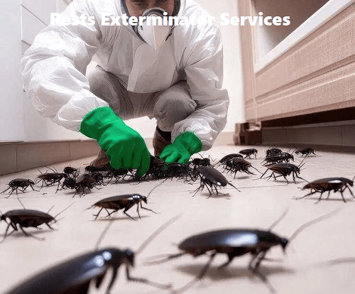 pest exterminator services in Vihiga Mbale pest exterminator services in Vihiga Mbale