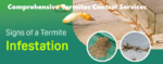 termites control services Kenya