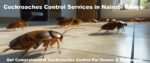 Cockroaches control services in Nairobi Kenya