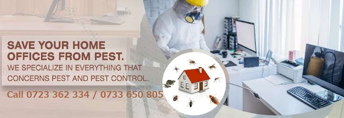 Fumigation and pest control services in Nairobi Kenya