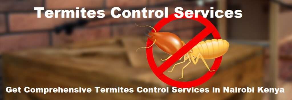 Termites Control Services Nairobi Kenya