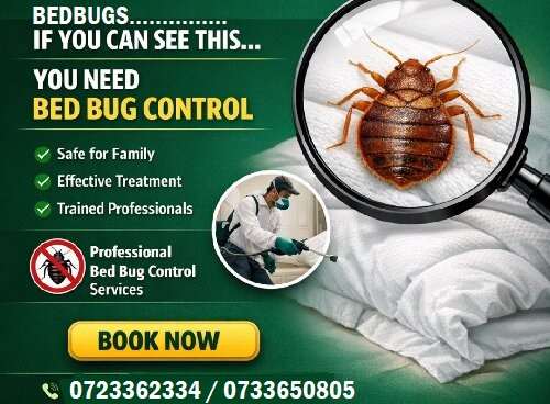 Bedbugs control services in Nairobi Kenya