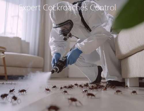 Cockroaches extermination services in Kenya