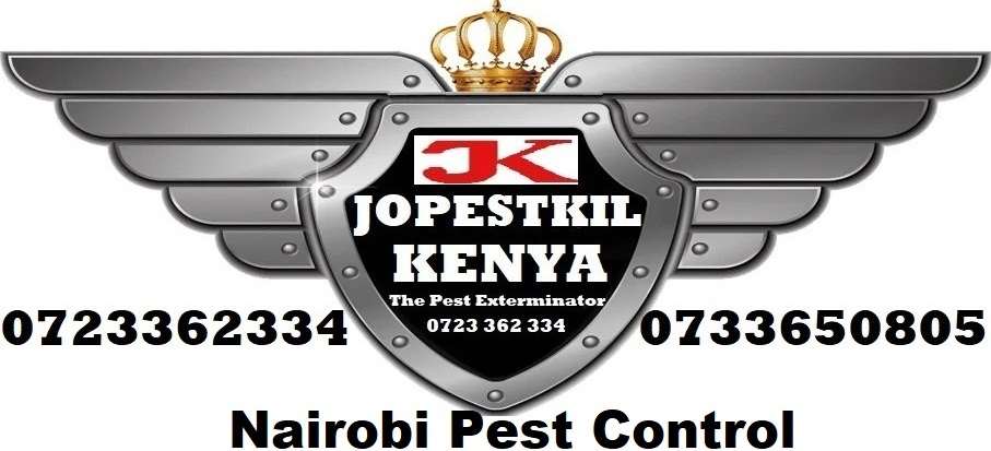 Fumigation and Pest Control Services in Nairobi Kenya