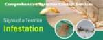Termites control services in Nairobi Kenya