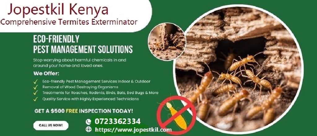Termite control in Nairobi Kenya