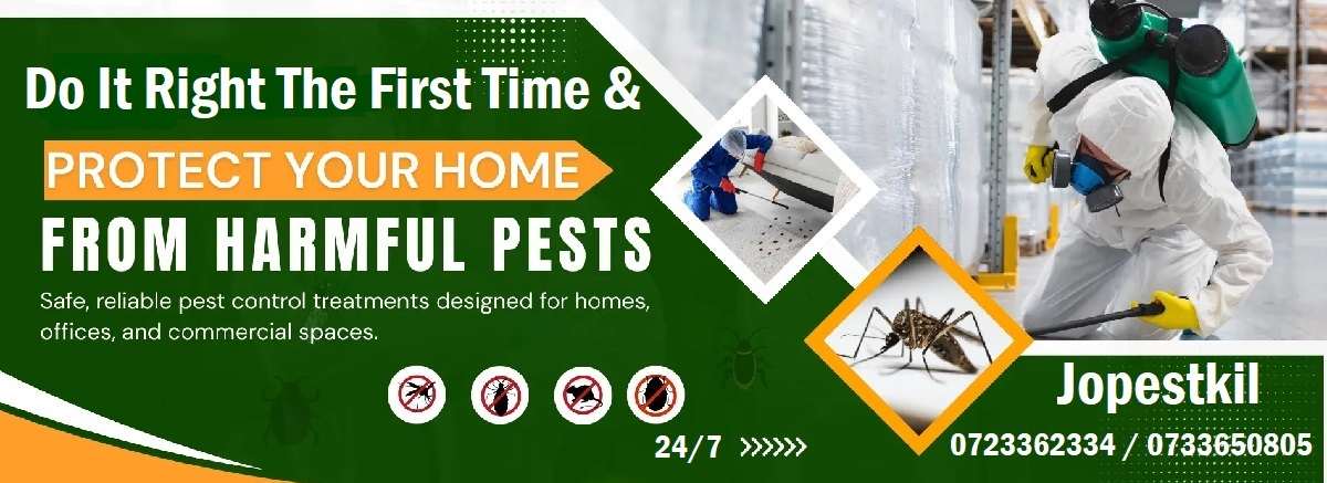 fumigation & pest control services in Kenya Exterminator