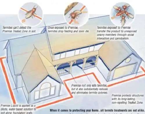 Termites Pre-construction Treatment Termite Control & Protection