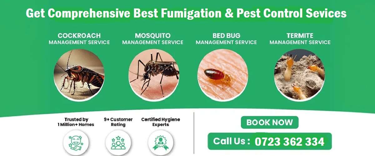 professiopnal fumigation pest control services professiopnal fumigation pest control services