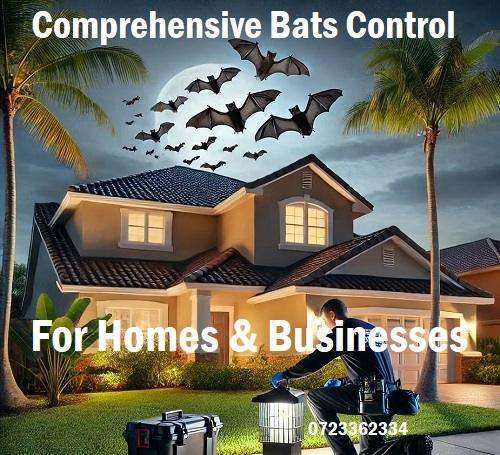 pest control for Bats pest control for Bats