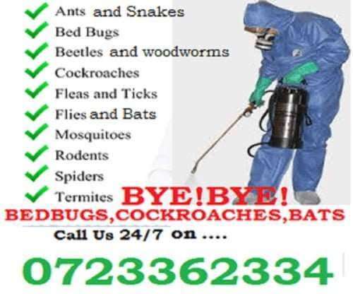 Pest Control, Pests Management & Fumigation For Homes & Businesses Pest Control, Pests Management & Fumigation For Homes & Businesses