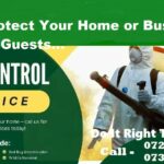 Professional Fumigation & Pest Control Services in Nairobi Kenya