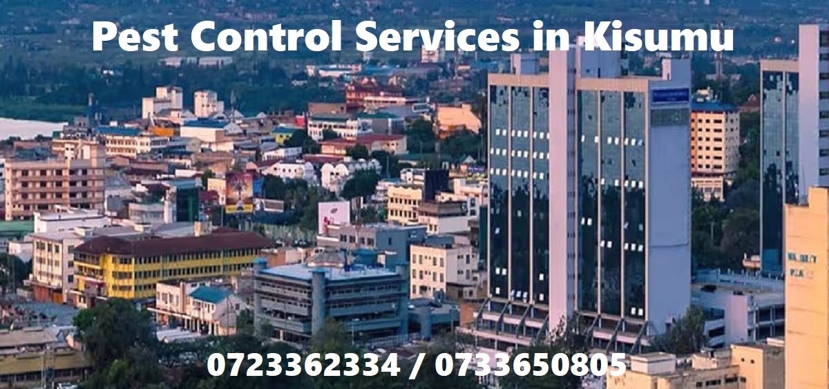 pest control in kisumu