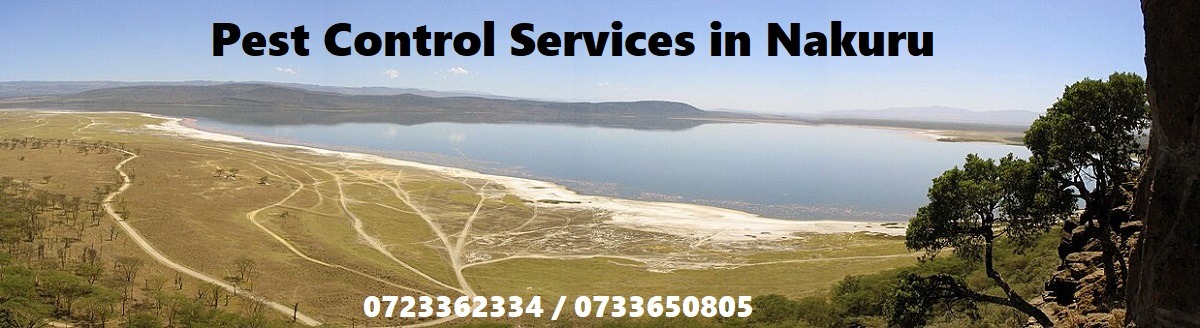 pest control in nakuru